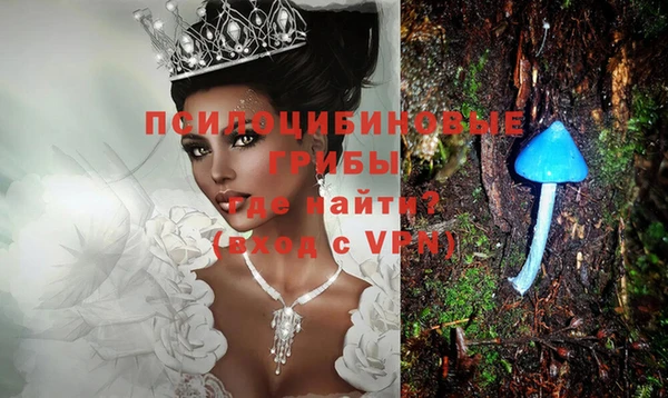 метадон Лагань